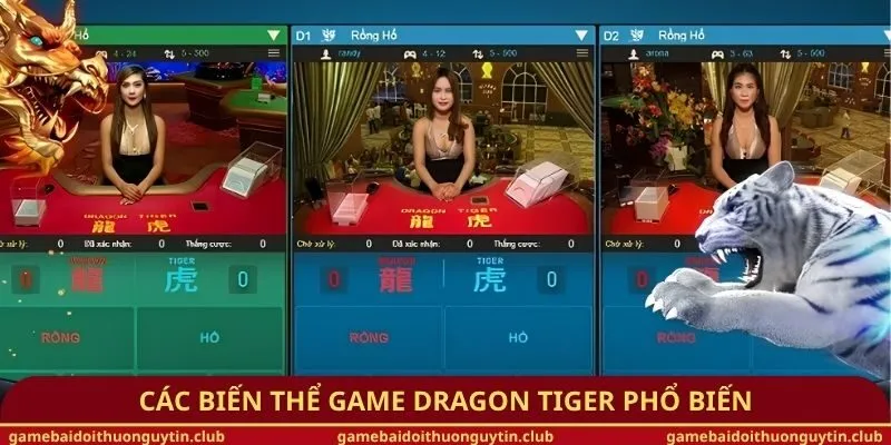 Các biến thể game Dragon Tiger phổ biến