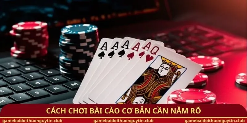 Cách chơi bài cao cơ bản cần nắm rõ