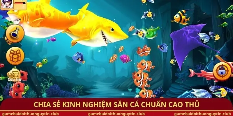 Chia sẻ kinh nghiệm săn cá chuẩn cao thủ
