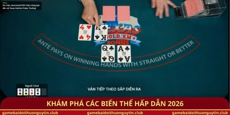 Khám phá các biến thể hấp dẫn 2026