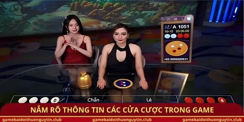 Nắm rõ thông tin các cửa cược trong game