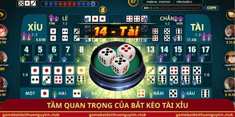Tầm quan trọng của bắt kèo Tài Xỉu