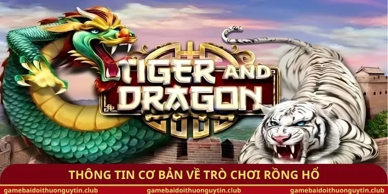 Thông tin cơ bản về trò chơi Rồng Hổ