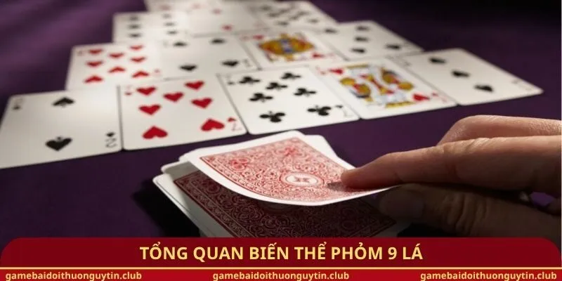 Tổng quan biến thể phỏm 9 lá