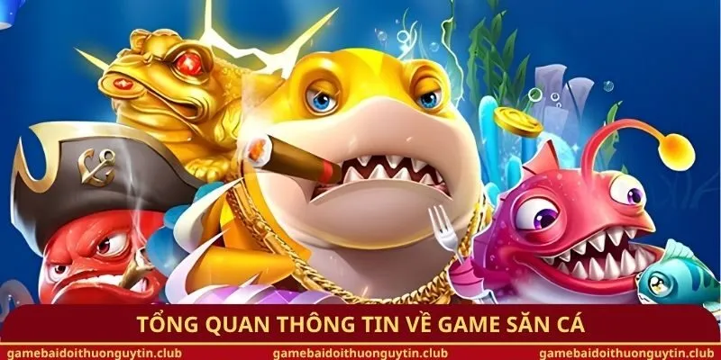 Tổng quan thông tin về game săn cá